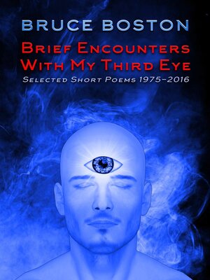 cover image of Brief Encounters with my Third Eye